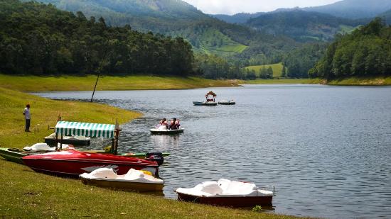 cochin munnar tour